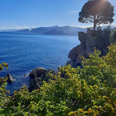 Apartment Kalura D Cefalu